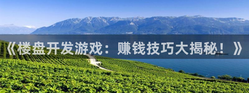 沐鸣娱乐官方网站：《楼盘开发游戏：赚钱技