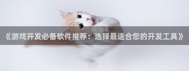 沐鸣4注册：《游戏开发必备软件推荐：选择