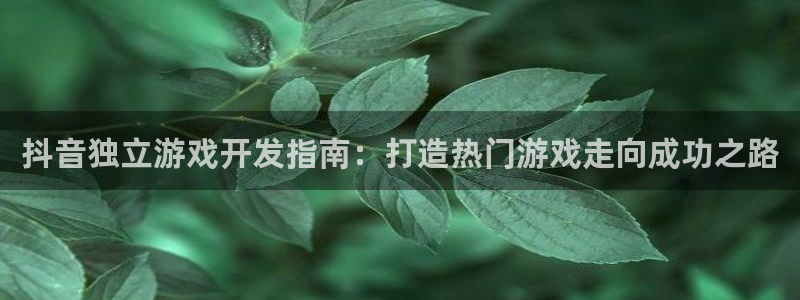 沐鸣登录网址：抖音独立游戏开发指南：打造