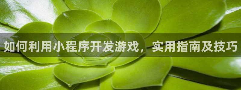沐鸣注册地址：如何利用小程序开发游戏，实