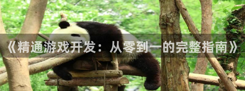 沐鸣娱乐-官方网站：《精通游戏开发：从零