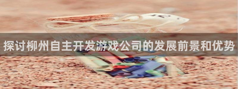 沐鸣注册网站：探讨柳州自主开发游戏公司的