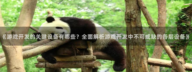 沐鸣平台是黑平台吗知乎：《游戏开发的关键