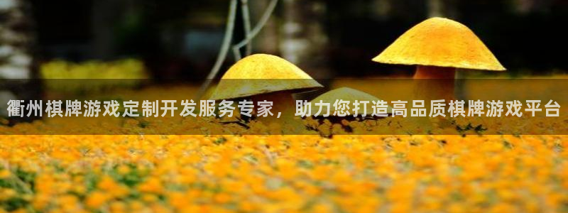 沐鸣平台招商怎么样：衢州棋牌游戏定制开发