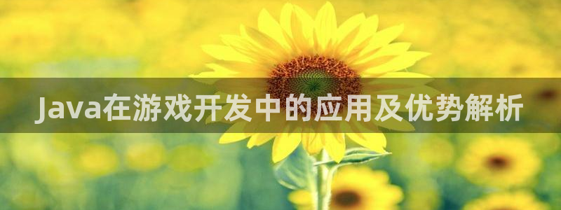 沐鸣注册地址：Java在游戏开发中的应用