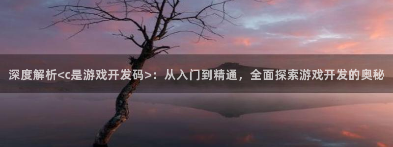 沐鸣3注册代理：深度解析<c是游戏开发码