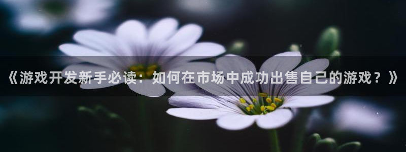 沐鸣科技和沐瞳科技的关系：《游戏开发新手
