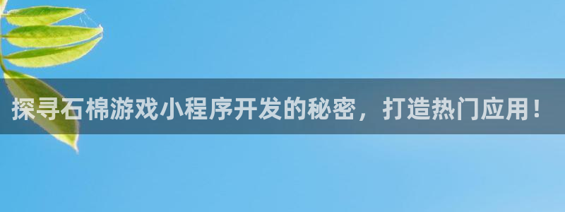 沐鸣注册入口：探寻石棉游戏小程序开发的秘