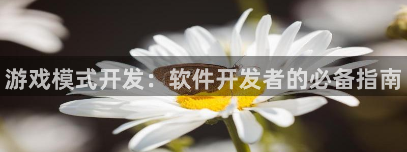 沐鸣娱乐平台登录入口网址：游戏模式开发：软件开发者