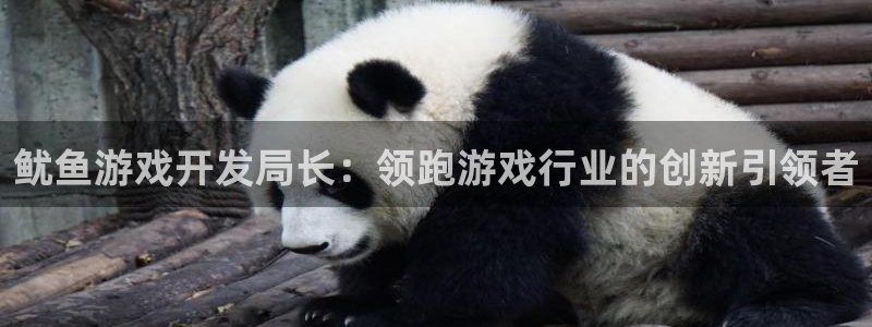 沐鸣娱乐为什么上不去了：鱿鱼游戏开发局长