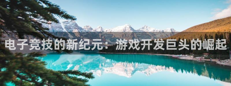 沐鸣娱乐ll官网：电子竞技的新纪元：游戏
