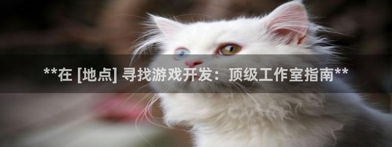 沐鸣科技有限公司：**在 [地点] 寻找