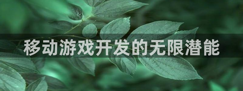 沐鸣娱乐在线登录：移动游戏开发的无限潜能