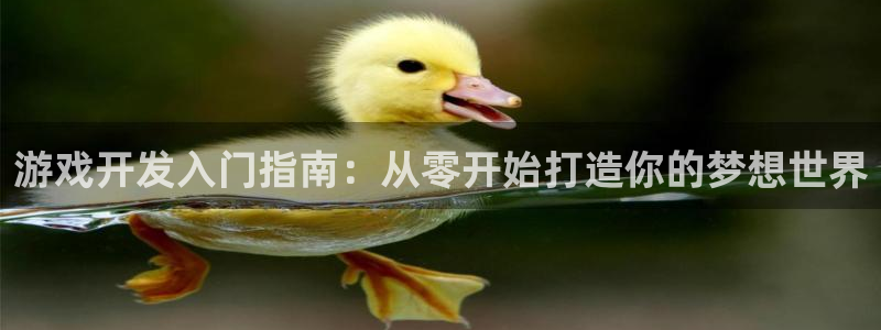 沐鸣科技做的游戏叫什么：游戏开发入门指南