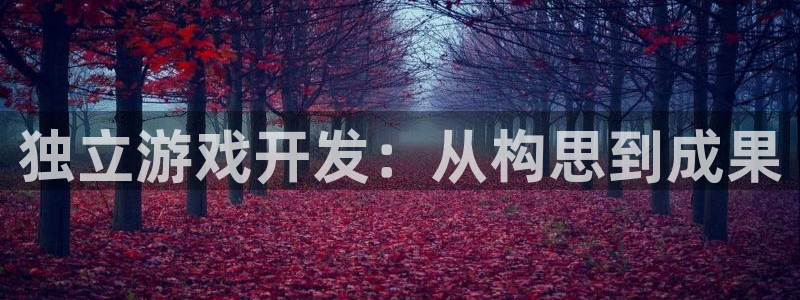 沐鸣注册网站官网：独立游戏开发：从构思到