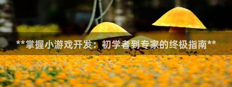 沐鸣平台官方网站：**掌握小游戏开发：初