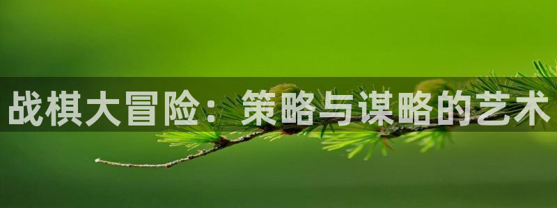 沐鸣在线登录注册：战棋大冒险：策略与谋略