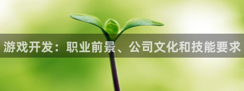 沐鸣娱乐平台登录入口官网：游戏开发：职业