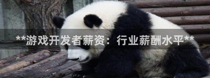 沐鸣平台168：**游戏开发者薪资：行业
