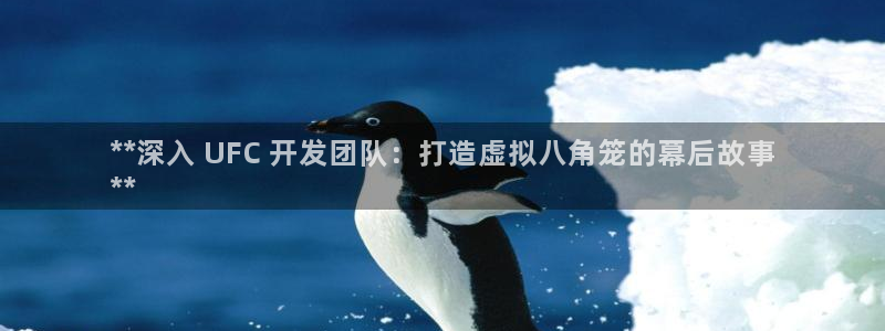 沐鸣科技游戏怎么样：**深入 UFC 开