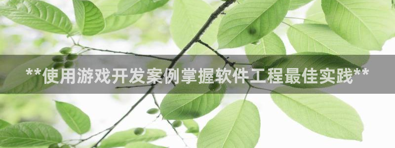 沐鸣代理：**使用游戏开发案例掌握软件工