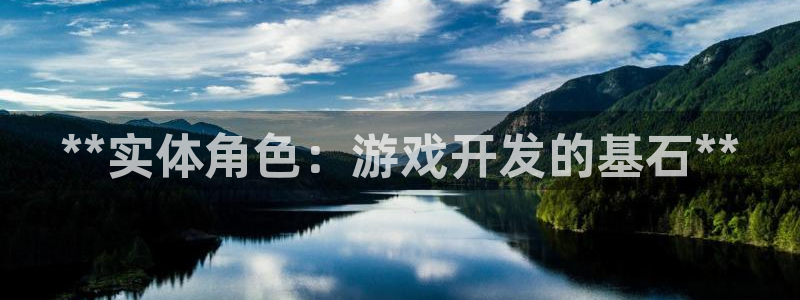 沐鸣科技游戏：**实体角色：游戏开发的基