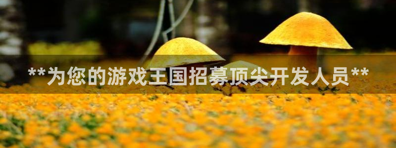 沐鸣科技业务：**为您的游戏王国招募顶尖