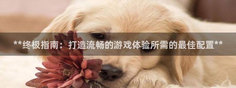 沐鸣科技做的游戏怎么样：**终极指南：打