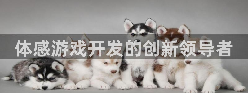 沐鸣平台代理：体感游戏开发的创新领导者