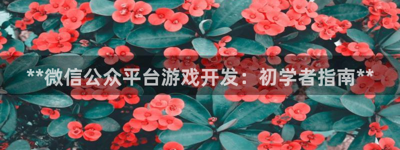 沐鸣注册注册：**微信公众平台游戏开发：