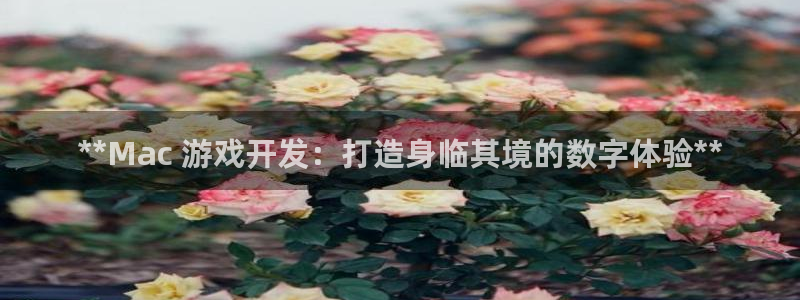 沐鸣科技有哪些产品可以买：**Mac 游