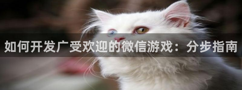 沐鸣娱乐怎么赚钱：如何开发广受欢迎的微信