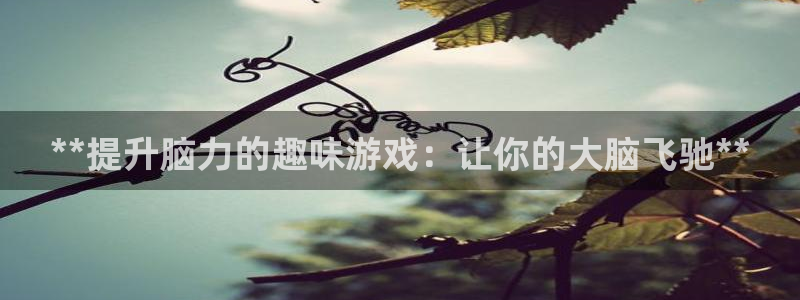 沐鸣科技有限公司：**提升脑力的趣味游戏