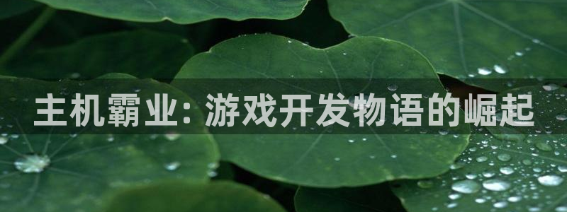 沐鸣娱乐官方网站：主机霸业: 游戏开发物
