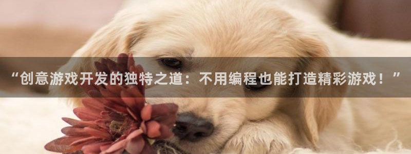 沐鸣注册登录：“创意游戏开发的独特之道：
