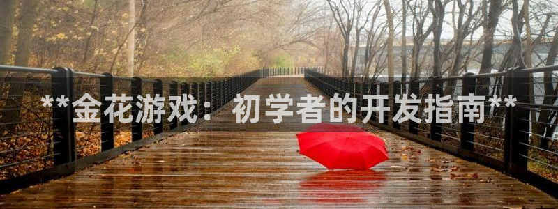 沐鸣科技做的游戏怎么样：**金花游戏：初