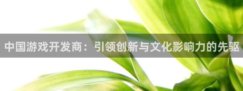 沐鸣开户计划：中国游戏开发商：引领创新与