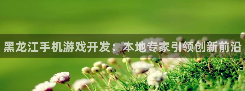 沐鸣科技游戏怎么样：黑龙江手机游戏开发：