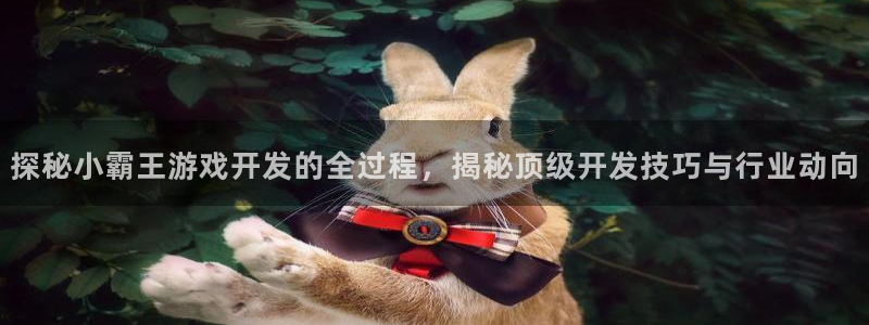 沐鸣科技游戏怎么样：探秘小霸王游戏开发的