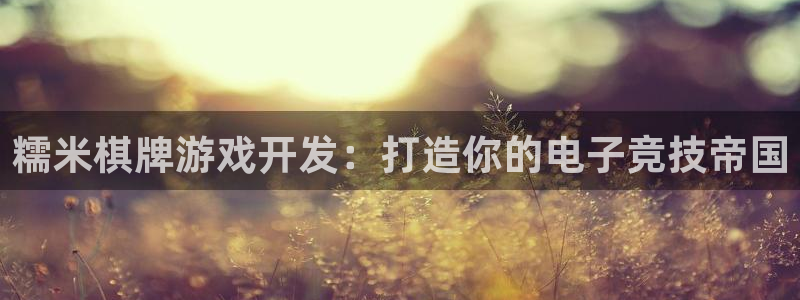 沐鸣注册地址：糯米棋牌游戏开发：打造你的