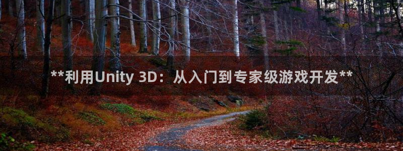 沐鸣娱乐：**利用Unity 3D：从入