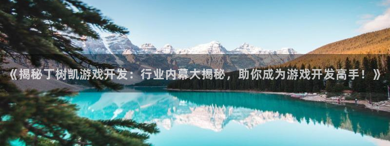 沐鸣在线登录：《揭秘丁树凯游戏开发：行业