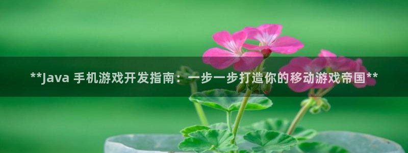 沐鸣娱乐游戏：**Java 手机游戏开发