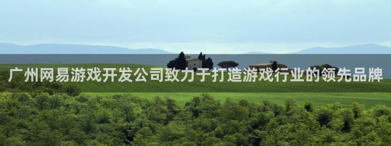 沐鸣文化传媒有限公司：广州网易游戏开发公