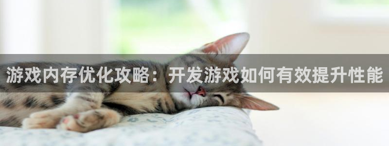 沐鸣娱乐靠谱吗：游戏内存优化攻略：开发游