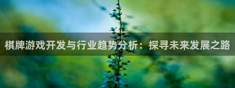 沐鸣3注册登录：棋牌游戏开发与行业趋势分