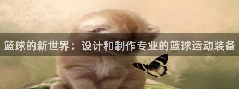 下载风速体育
