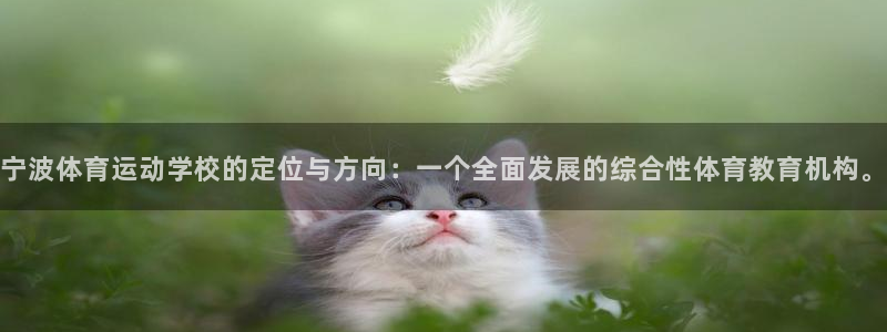 风速体育直播