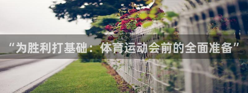 下载风速体育